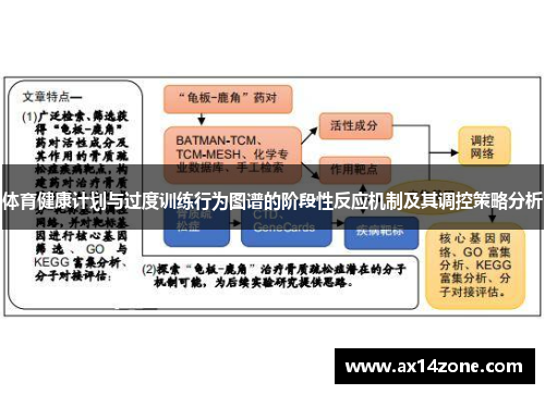 体育健康计划与过度训练行为图谱的阶段性反应机制及其调控策略分析
